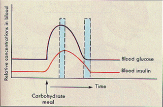 insulin-response-graph-2